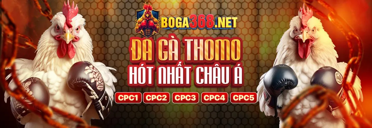 Hình ảnh minh họa thông báo nền tảng nhà cái bong88
